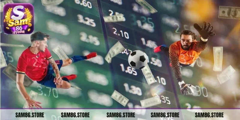 Cược thủ nên đặc biệt chú ý tới việc nghiên cứu kỹ về trọng tài